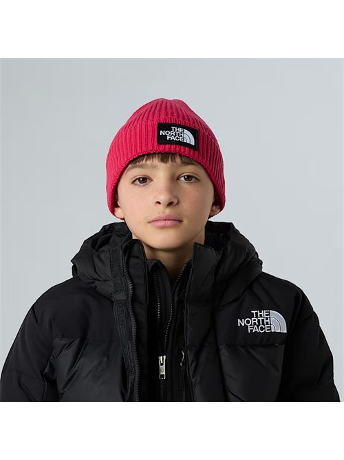  THE NORTH FACE | NF0A8CGU/BOS1